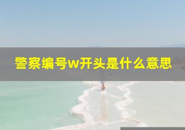 警察编号w开头是什么意思