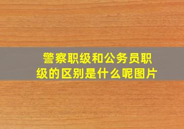 警察职级和公务员职级的区别是什么呢图片