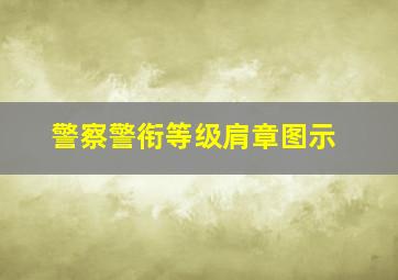 警察警衔等级肩章图示