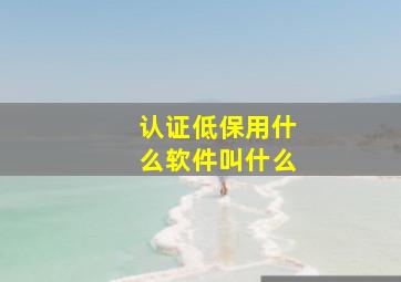 认证低保用什么软件叫什么