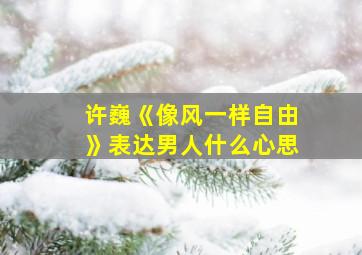 许巍《像风一样自由》表达男人什么心思