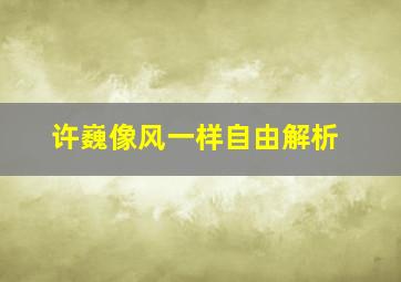 许巍像风一样自由解析