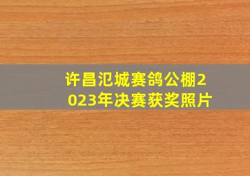 许昌氾城赛鸽公棚2023年决赛获奖照片