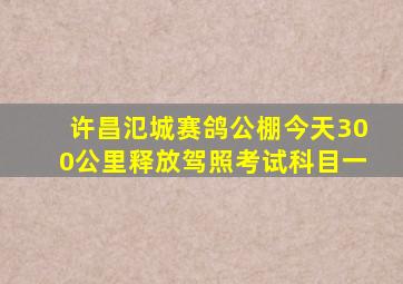 许昌氾城赛鸽公棚今天300公里释放驾照考试科目一