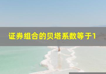 证券组合的贝塔系数等于1