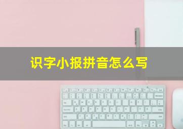 识字小报拼音怎么写