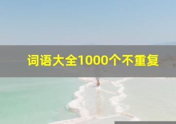 词语大全1000个不重复