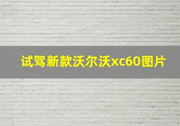 试驾新款沃尔沃xc60图片