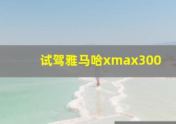 试驾雅马哈xmax300