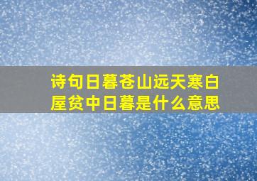 诗句日暮苍山远天寒白屋贫中日暮是什么意思