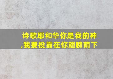 诗歌耶和华你是我的神,我要投靠在你翅膀荫下