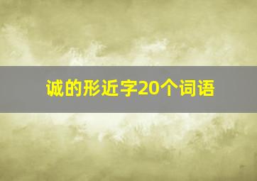 诚的形近字20个词语