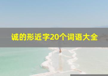 诚的形近字20个词语大全