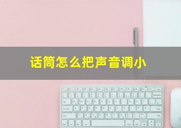 话筒怎么把声音调小