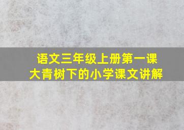 语文三年级上册第一课大青树下的小学课文讲解