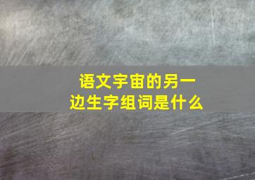 语文宇宙的另一边生字组词是什么