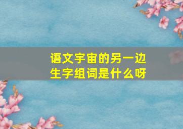 语文宇宙的另一边生字组词是什么呀