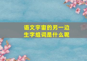 语文宇宙的另一边生字组词是什么呢