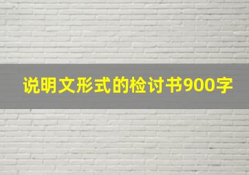 说明文形式的检讨书900字