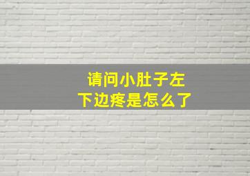 请问小肚子左下边疼是怎么了