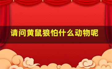 请问黄鼠狼怕什么动物呢