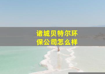 诸城贝特尔环保公司怎么样