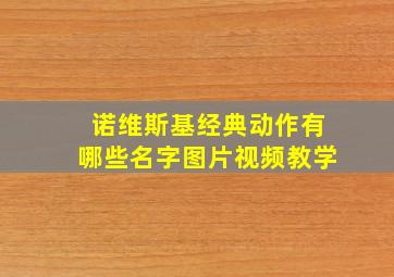 诺维斯基经典动作有哪些名字图片视频教学