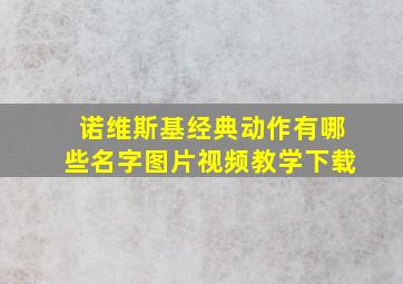 诺维斯基经典动作有哪些名字图片视频教学下载