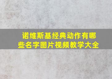 诺维斯基经典动作有哪些名字图片视频教学大全