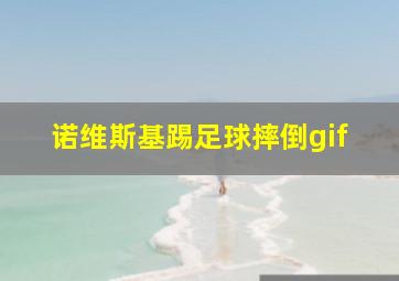 诺维斯基踢足球摔倒gif