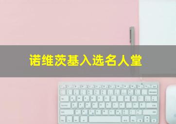 诺维茨基入选名人堂