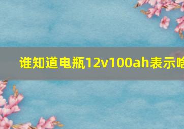 谁知道电瓶12v100ah表示啥