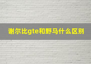 谢尔比gte和野马什么区别