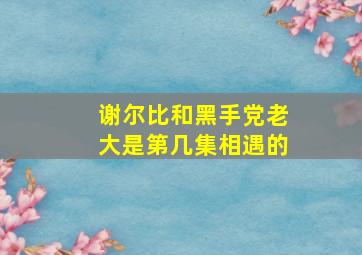 谢尔比和黑手党老大是第几集相遇的