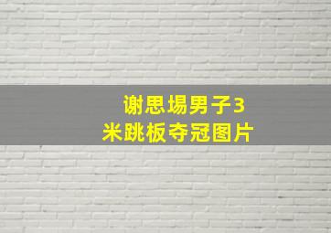 谢思埸男子3米跳板夺冠图片