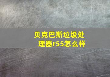 贝克巴斯垃圾处理器r55怎么样