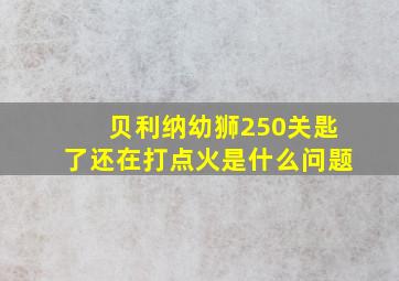 贝利纳幼狮250关匙了还在打点火是什么问题