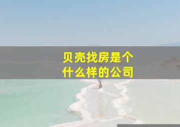 贝壳找房是个什么样的公司