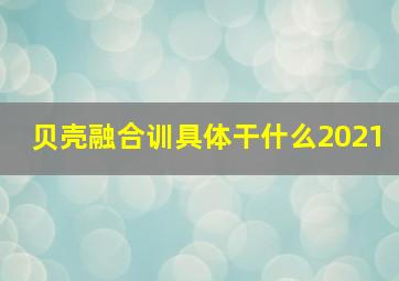 贝壳融合训具体干什么2021