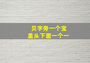 贝字旁一个宝盖头下面一个一