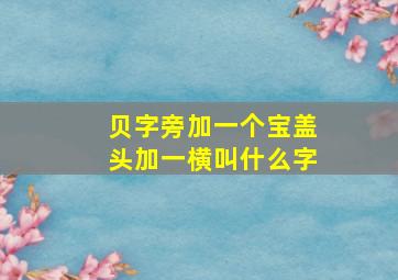 贝字旁加一个宝盖头加一横叫什么字