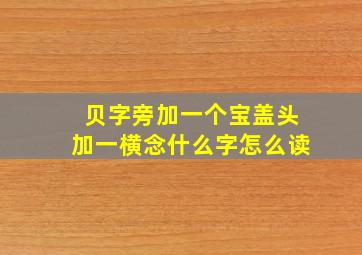 贝字旁加一个宝盖头加一横念什么字怎么读