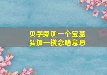 贝字旁加一个宝盖头加一横念啥意思