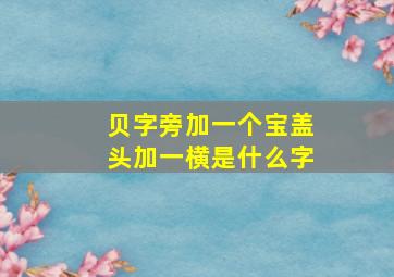 贝字旁加一个宝盖头加一横是什么字