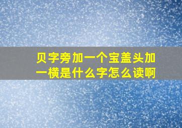 贝字旁加一个宝盖头加一横是什么字怎么读啊