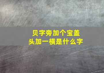 贝字旁加个宝盖头加一横是什么字