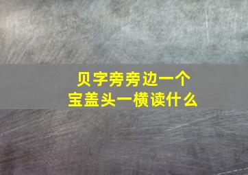 贝字旁旁边一个宝盖头一横读什么