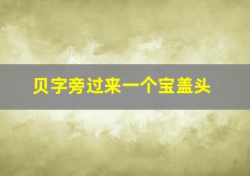 贝字旁过来一个宝盖头