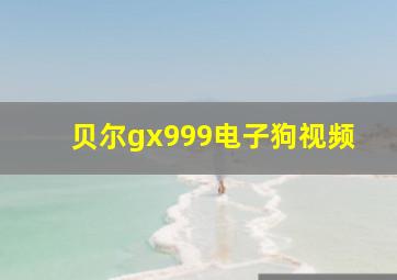 贝尔gx999电子狗视频