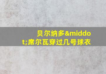 贝尔纳多·席尔瓦穿过几号球衣